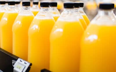 Voedselveiligheid begint bij kennis – efficient getraind, sterk in de praktijk